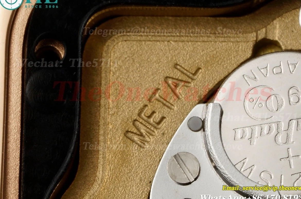 Secrete RG Ladies De RG Quartz Panthere Dial AF 27mm Mop 0123